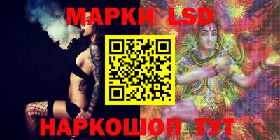 стафф Гай