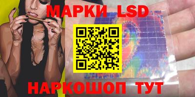 стафф Гай
