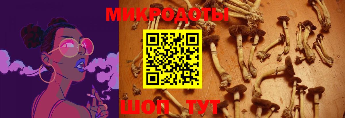 Муравленко  Галлюциногенные грибы мухоморы  Вход с VPN 